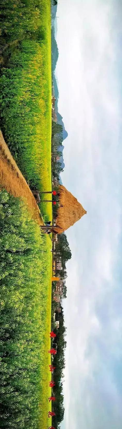 中國經(jīng)濟(jì)體制改革基金會全國第一！中國改革熱度第三方評估出爐，云浮宣傳系數(shù)在全國343個城市居首位                             